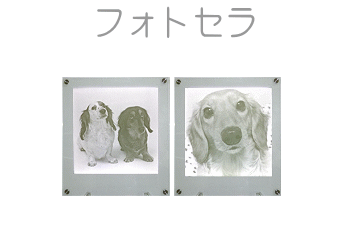 世界に1つ。私の想いでをフォトセラに