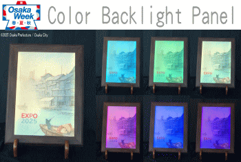 Color Backlight Panel