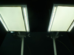 LEDƖjbg2p